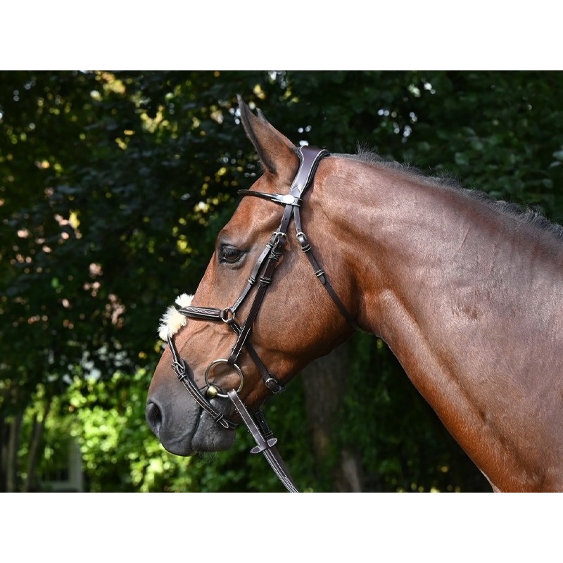 Wednesday Bridle mexican noseband - Week Collection