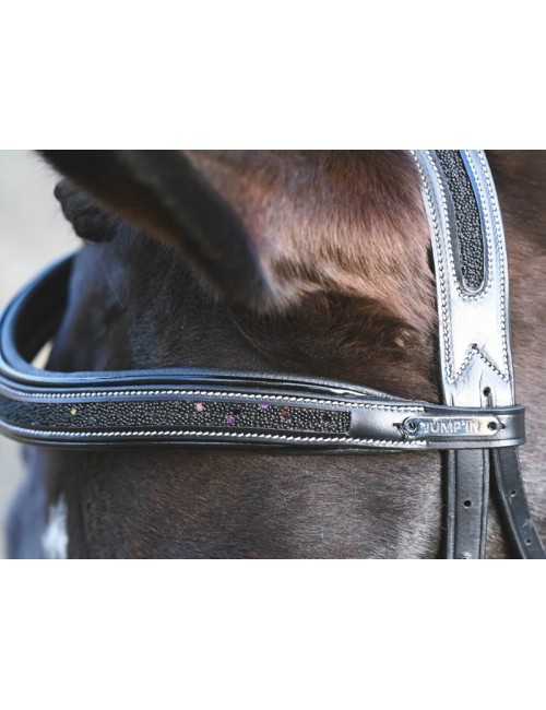 Carat Bridle - One Collection Premium