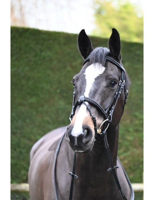 Black Crystal Bridle flash noseband - Week Collection