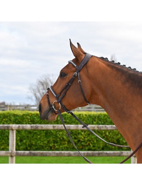 Hazelnut Clincher Bridle lined in black - One Collection Premium