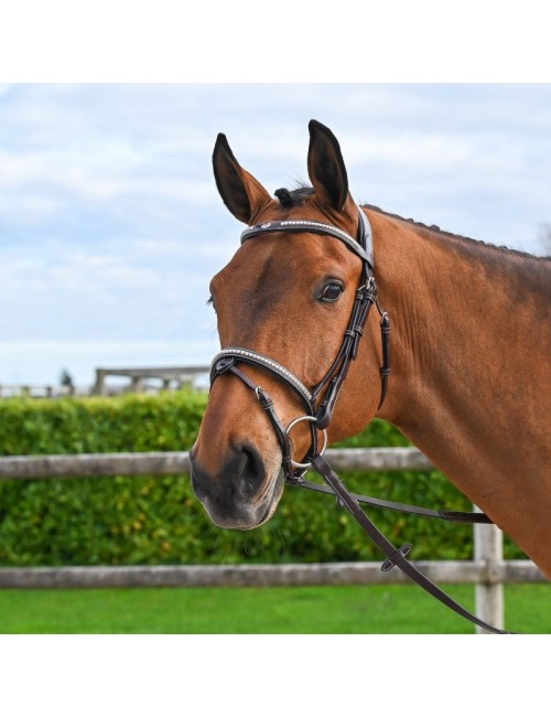 Hazelnut Clincher Bridle lined in black - One Collection Premium