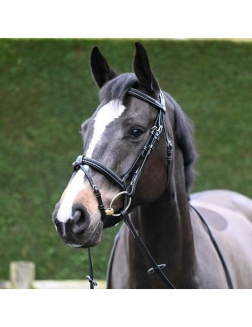 Black Crystal Bridle flash noseband - Week Collection