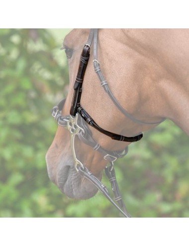 Hackamore Cheek Pieces and Strap - Week Collection