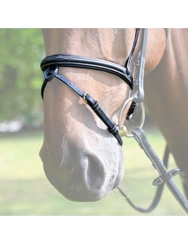 Monday Noseband