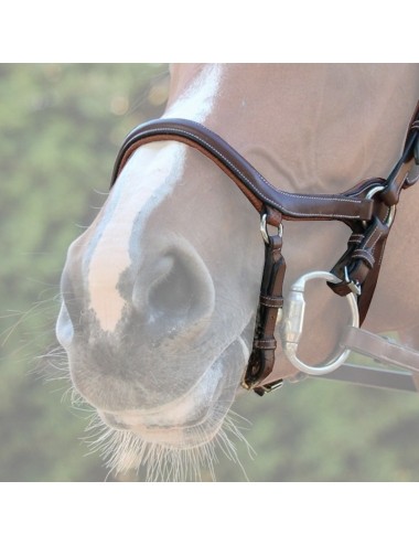 New York Noseband - One Collection