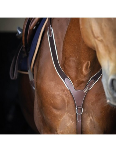 Collier de chasse élastique et martingale