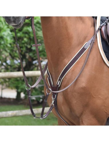 Elastic Breastplate and martingale